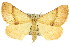  ( - 11ANIC-07243)  @14 [ ] CreativeCommons - Attribution (2011) ANIC/CBG Photography Group Centre for Biodiversity Genomics