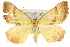  ( - 11ANIC-07249)  @14 [ ] CreativeCommons - Attribution (2011) ANIC/CBG Photography Group Centre for Biodiversity Genomics