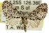  ( - 11ANIC-07309)  @12 [ ] CreativeCommons - Attribution (2011) ANIC/CBG Photography Group Centre for Biodiversity Genomics