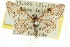  ( - 11ANIC-07397)  @14 [ ] CreativeCommons - Attribution (2011) ANIC/CBG Photography Group Centre for Biodiversity Genomics