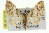  ( - 11ANIC-07580)  @13 [ ] CreativeCommons - Attribution (2011) ANIC/CBG Photography Group Centre for Biodiversity Genomics