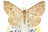  ( - 11ANIC-07643)  @14 [ ] CreativeCommons - Attribution (2011) ANIC/CBG Photography Group Centre for Biodiversity Genomics