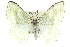  ( - 11ANIC-07709)  @11 [ ] CreativeCommons - Attribution (2011) ANIC/CBG Photography Group Centre for Biodiversity Genomics