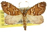  ( - 11ANIC-07739)  @11 [ ] CreativeCommons - Attribution (2011) ANIC/CBG Photography Group Centre for Biodiversity Genomics