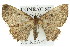 ( - 11ANIC-07785)  @11 [ ] CreativeCommons - Attribution (2011) ANIC/CBG Photography Group Centre for Biodiversity Genomics