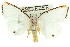  ( - 11ANIC-07949)  @11 [ ] CreativeCommons - Attribution (2011) ANIC/CBG Photography Group Centre for Biodiversity Genomics