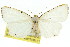  ( - 11ANIC-07951)  @11 [ ] CreativeCommons - Attribution (2011) ANIC/CBG Photography Group Centre for Biodiversity Genomics