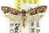  ( - 11ANIC-09261)  @13 [ ] CreativeCommons - Attribution (2011) ANIC/CBG Photography Group Centre for Biodiversity Genomics