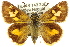  ( - 11ANIC-08040)  @13 [ ] CreativeCommons - Attribution (2011) ANIC/CBG Photography Group Centre for Biodiversity Genomics