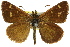  ( - 11ANIC-08185)  @14 [ ] CreativeCommons - Attribution (2011) ANIC/CBG Photography Group Centre for Biodiversity Genomics