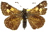  ( - 11ANIC-08324)  @11 [ ] CreativeCommons - Attribution (2011) ANIC/CBG Photography Group Centre for Biodiversity Genomics