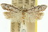  ( - 11ANIC-08371)  @11 [ ] CreativeCommons - Attribution (2011) ANIC/CBG Photography Group Centre for Biodiversity Genomics