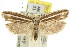  ( - 11ANIC-08407)  @14 [ ] CreativeCommons - Attribution (2011) ANIC/CBG Photography Group Centre for Biodiversity Genomics