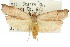  ( - 11ANIC-08599)  @11 [ ] CreativeCommons - Attribution (2011) ANIC/CBG Photography Group Centre for Biodiversity Genomics