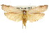  ( - 11ANIC-08600)  @11 [ ] CreativeCommons - Attribution (2011) ANIC/CBG Photography Group Centre for Biodiversity Genomics