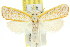  ( - 11ANIC-08658)  @11 [ ] CreativeCommons - Attribution (2011) ANIC/CBG Photography Group Centre for Biodiversity Genomics