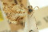  ( - 11ANIC-08776)  @11 [ ] CreativeCommons - Attribution (2011) ANIC/CBG Photography Group Centre for Biodiversity Genomics
