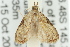  ( - 11ANIC-08783)  @12 [ ] CreativeCommons - Attribution (2011) ANIC/CBG Photography Group Centre for Biodiversity Genomics