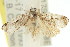  ( - 11ANIC-08792)  @11 [ ] CreativeCommons - Attribution (2011) ANIC/CBG Photography Group Centre for Biodiversity Genomics