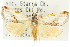  ( - 11ANIC-08944)  @11 [ ] CreativeCommons - Attribution (2011) ANIC/CBG Photography Group Centre for Biodiversity Genomics