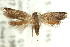  ( - 11ANIC-08962)  @11 [ ] CreativeCommons - Attribution (2011) ANIC/CBG Photography Group Centre for Biodiversity Genomics