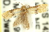  ( - 11ANIC-08978)  @12 [ ] CreativeCommons - Attribution (2011) ANIC/CBG Photography Group Centre for Biodiversity Genomics