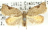  ( - 11ANIC-08991)  @11 [ ] CreativeCommons - Attribution (2011) ANIC/CBG Photography Group Centre for Biodiversity Genomics