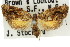  ( - 11ANIC-09059)  @11 [ ] CreativeCommons - Attribution (2011) ANIC/CBG Photography Group Centre for Biodiversity Genomics
