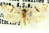  ( - 11ANIC-09103)  @11 [ ] CreativeCommons - Attribution (2011) ANIC/CBG Photography Group Centre for Biodiversity Genomics