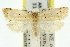  ( - 11ANIC-09107)  @14 [ ] CreativeCommons - Attribution (2011) ANIC/CBG Photography Group Centre for Biodiversity Genomics