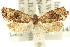  ( - 11ANIC-09361)  @11 [ ] CreativeCommons - Attribution (2011) ANIC/CBG Photography Group Centre for Biodiversity Genomics