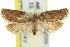  ( - 11ANIC-09586)  @11 [ ] CreativeCommons - Attribution (2011) ANIC/CBG Photography Group Centre for Biodiversity Genomics