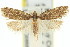  ( - 11ANIC-09644)  @13 [ ] CreativeCommons - Attribution (2011) ANIC/CBG Photography Group Centre for Biodiversity Genomics