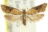  ( - 11ANIC-09645)  @11 [ ] CreativeCommons - Attribution (2011) ANIC/CBG Photography Group Centre for Biodiversity Genomics