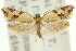  ( - 11ANIC-09658)  @13 [ ] CreativeCommons - Attribution (2011) ANIC/CBG Photography Group Centre for Biodiversity Genomics