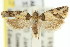  ( - 11ANIC-09659)  @11 [ ] CreativeCommons - Attribution (2011) ANIC/CBG Photography Group Centre for Biodiversity Genomics