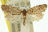  ( - 11ANIC-09669)  @11 [ ] CreativeCommons - Attribution (2011) ANIC/CBG Photography Group Centre for Biodiversity Genomics