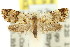  ( - 11ANIC-10011)  @11 [ ] CreativeCommons - Attribution (2011) ANIC/CBG Photography Group Centre for Biodiversity Genomics