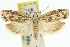  ( - 11ANIC-10090)  @13 [ ] CreativeCommons - Attribution (2011) ANIC/CBG Photography Group Centre for Biodiversity Genomics