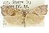  ( - 11ANIC-10144)  @11 [ ] CreativeCommons - Attribution (2011) ANIC/CBG Photography Group Centre for Biodiversity Genomics