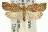  ( - 11ANIC-10183)  @11 [ ] CreativeCommons - Attribution (2011) ANIC/CBG Photography Group Centre for Biodiversity Genomics