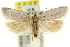  ( - 11ANIC-10330)  @13 [ ] CreativeCommons - Attribution (2011) ANIC/CBG Photography Group Centre for Biodiversity Genomics