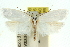  ( - 11ANIC-10364)  @14 [ ] CreativeCommons - Attribution (2011) ANIC/CBG Photography Group Centre for Biodiversity Genomics