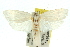  ( - 11ANIC-10376)  @11 [ ] CreativeCommons - Attribution (2011) ANIC/CBG Photography Group Centre for Biodiversity Genomics