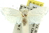  ( - 11ANIC-10383)  @13 [ ] CreativeCommons - Attribution (2011) ANIC/CBG Photography Group Centre for Biodiversity Genomics
