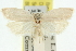  ( - 11ANIC-10461)  @11 [ ] CreativeCommons - Attribution (2011) ANIC/CBG Photography Group Centre for Biodiversity Genomics