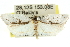  ( - 11ANIC-10575)  @14 [ ] CreativeCommons - Attribution (2011) ANIC/CBG Photography Group Centre for Biodiversity Genomics