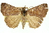  ( - 11ANIC-10606)  @11 [ ] CreativeCommons - Attribution (2011) ANIC/CBG Photography Group Centre for Biodiversity Genomics