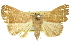  ( - 11ANIC-10607)  @11 [ ] CreativeCommons - Attribution (2011) ANIC/CBG Photography Group Centre for Biodiversity Genomics