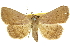  ( - 11ANIC-10610)  @11 [ ] CreativeCommons - Attribution (2011) ANIC/CBG Photography Group Centre for Biodiversity Genomics